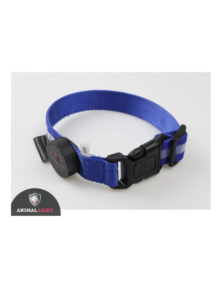Leucht-Hundehalsband „Cash“