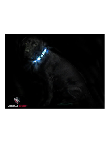 Animal Light – Collier pour chien « Cash »