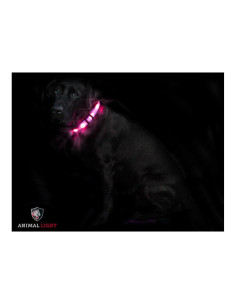 Leucht-Hundehalsband „Cash“