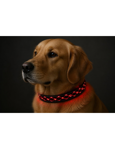 Animal Light Leucht-Halsband Finia