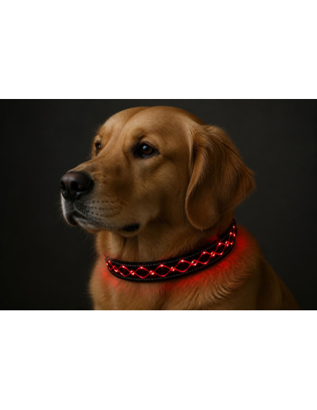 Animal Light Leucht-Halsband Finia