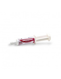 AMINOBOOST ENDURANCE - REKOR