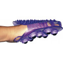 2 in 1 Putzhandschuh Striegel und Massage