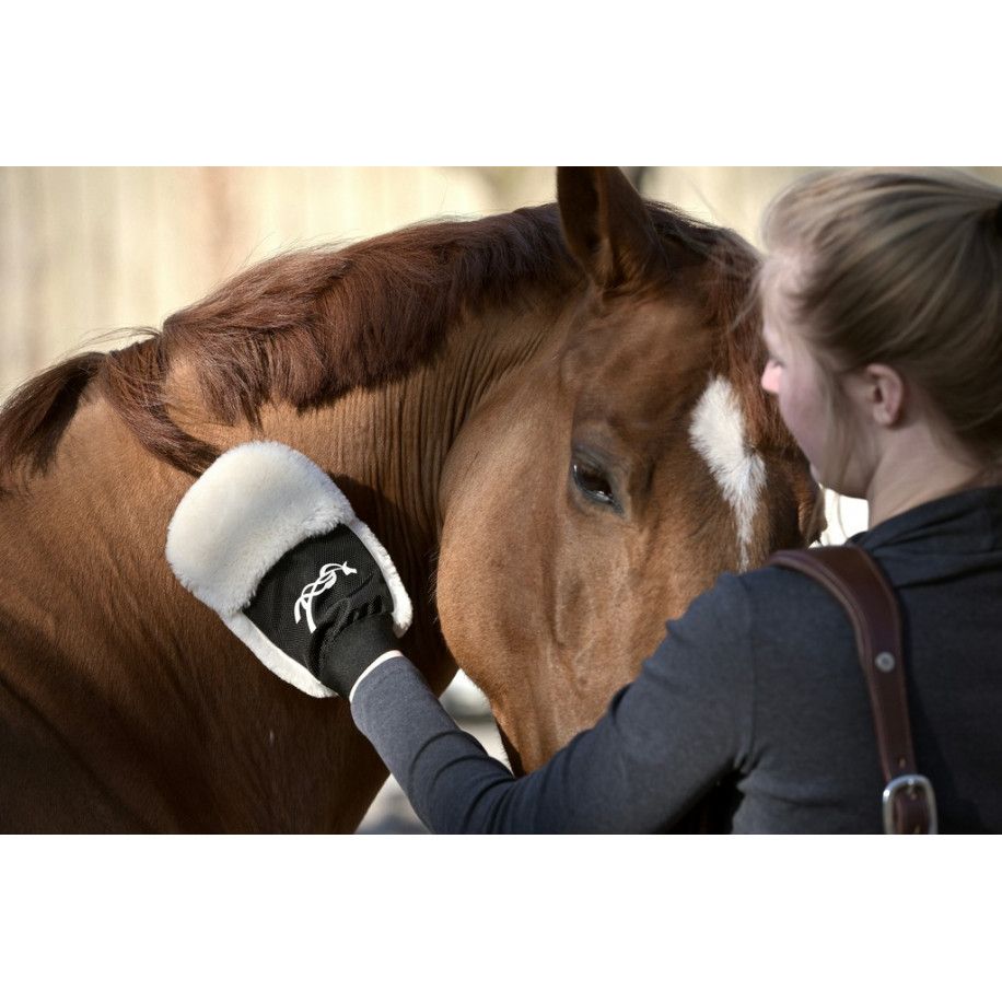 PENELOPE Putzhandschuh