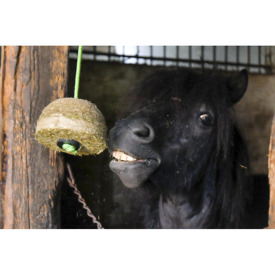HIPPOTONIC Heu Block, Natürlicher Heu Geschmack