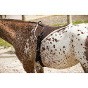 Tapis de monte ?? cru NORTON "Soft"