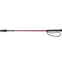 WHIP & GO "Twist" Reitgerte mit Griff