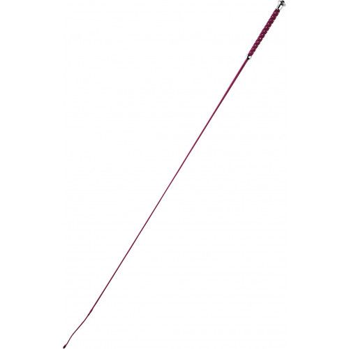 Cravache de dressage WHIP & GO "Points" 2