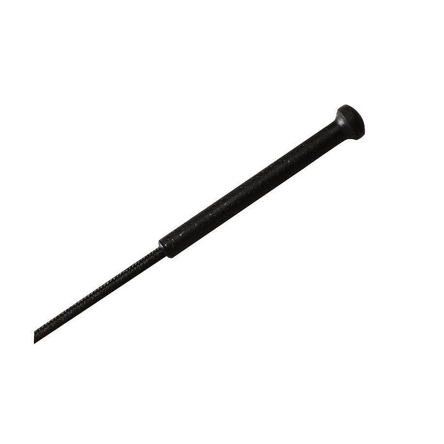 Cravache de dressage WHIP & GO