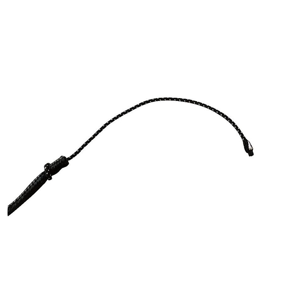 Cravache de dressage WHIP & GO