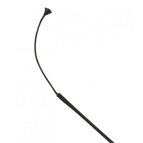 WHIP & GO Fahr- und Trainingspeitsche 2