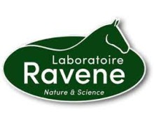RAVENE